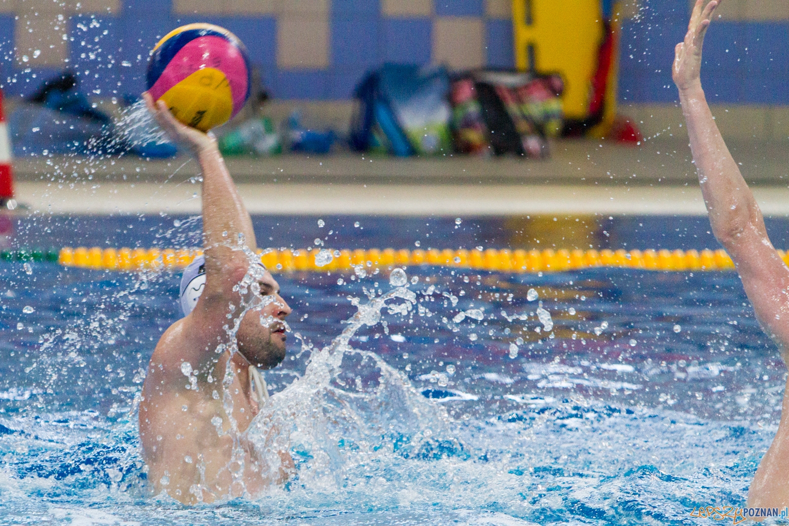 Waterpolo Poznań - ŁSTW UŁ Foto: lepszyPOZNAN.pl / Piotr Rychter Waterpolo Poznań - ŁSTW UŁ Foto: lepszyPOZNAN.pl / Piotr Rychter