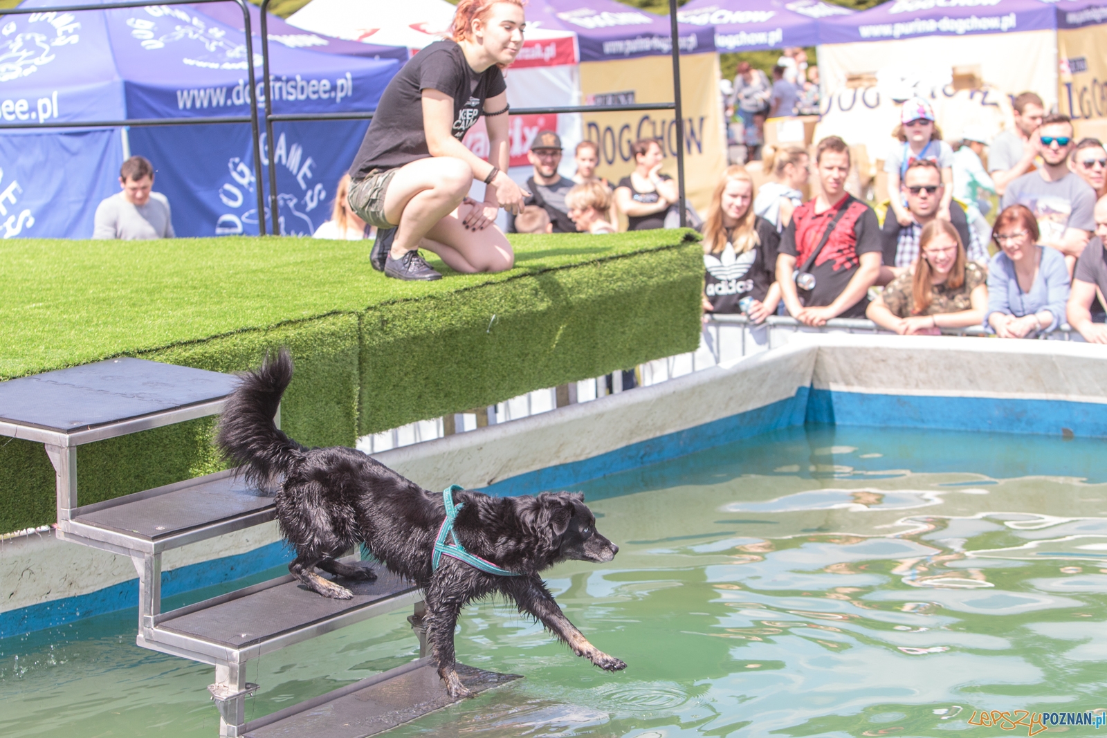 Latające Psy Poznań 2017 - Poznań 13.05.2017 r. Foto: LepszyPOZNAN.pl / Paweł Rychter Latające Psy Poznań 2017 - Poznań 13.05.2017 r. Foto: LepszyPOZNAN.pl / Paweł Rychter
