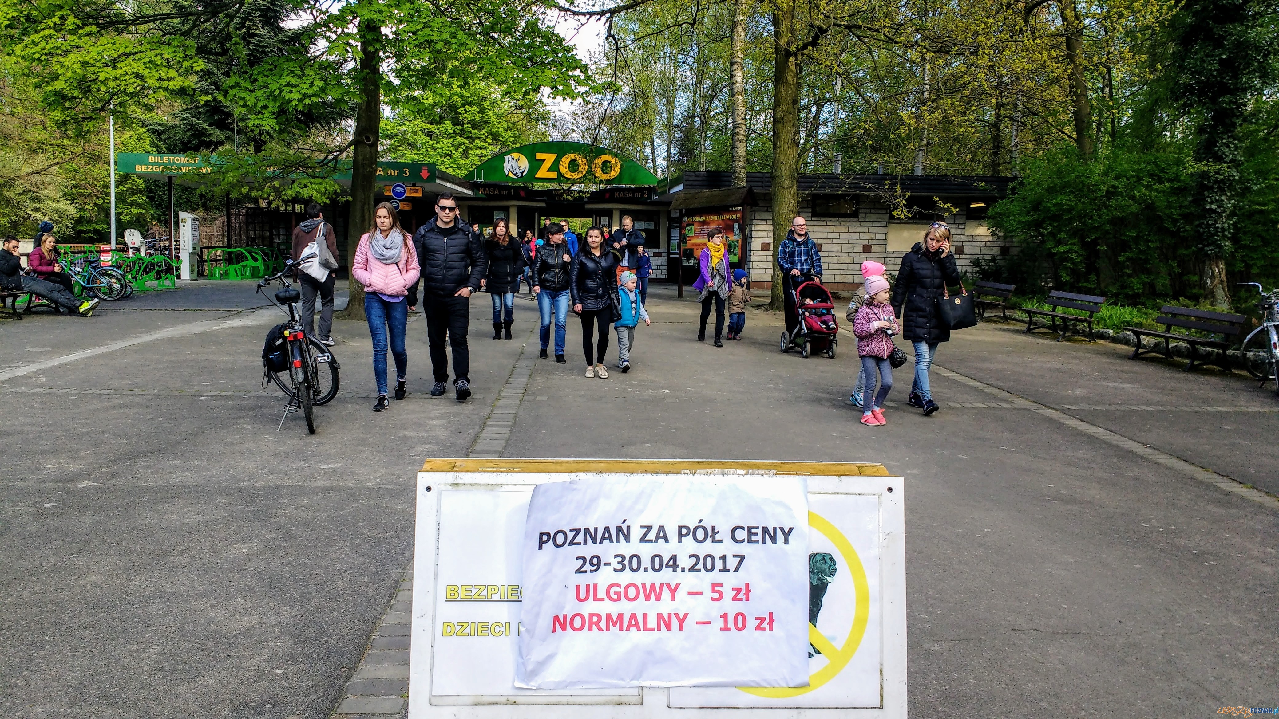 Udany jubileusz akcji Poznań za pół ceny - Nowe ZOO Foto: PLOT / Wojciech mania Udany jubileusz akcji Poznań za pół ceny - Nowe ZOO Foto: PLOT / Wojciech mania