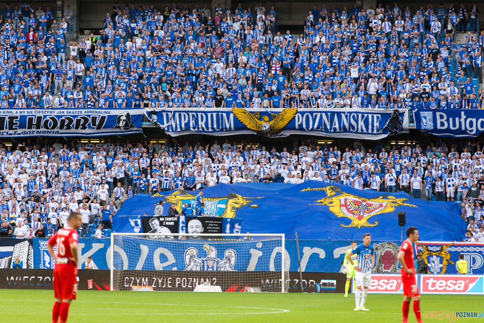 Lech Poznań - Lechia Gdańsk Foto: lepszyPOZNAN.pl/Piotr Rychter Lech Poznań - Lechia Gdańsk Foto: lepszyPOZNAN.pl/Piotr Rychter