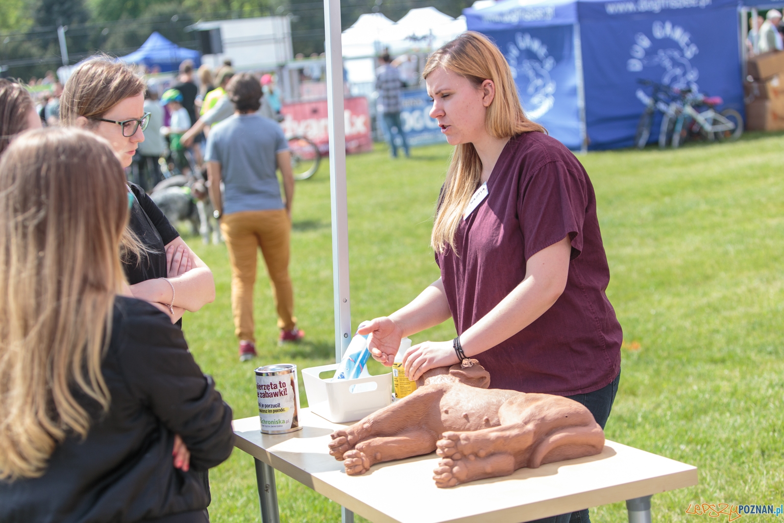 Latające Psy Poznań 2017 - Poznań 13.05.2017 r. Foto: LepszyPOZNAN.pl / Paweł Rychter Latające Psy Poznań 2017 - Poznań 13.05.2017 r. Foto: LepszyPOZNAN.pl / Paweł Rychter