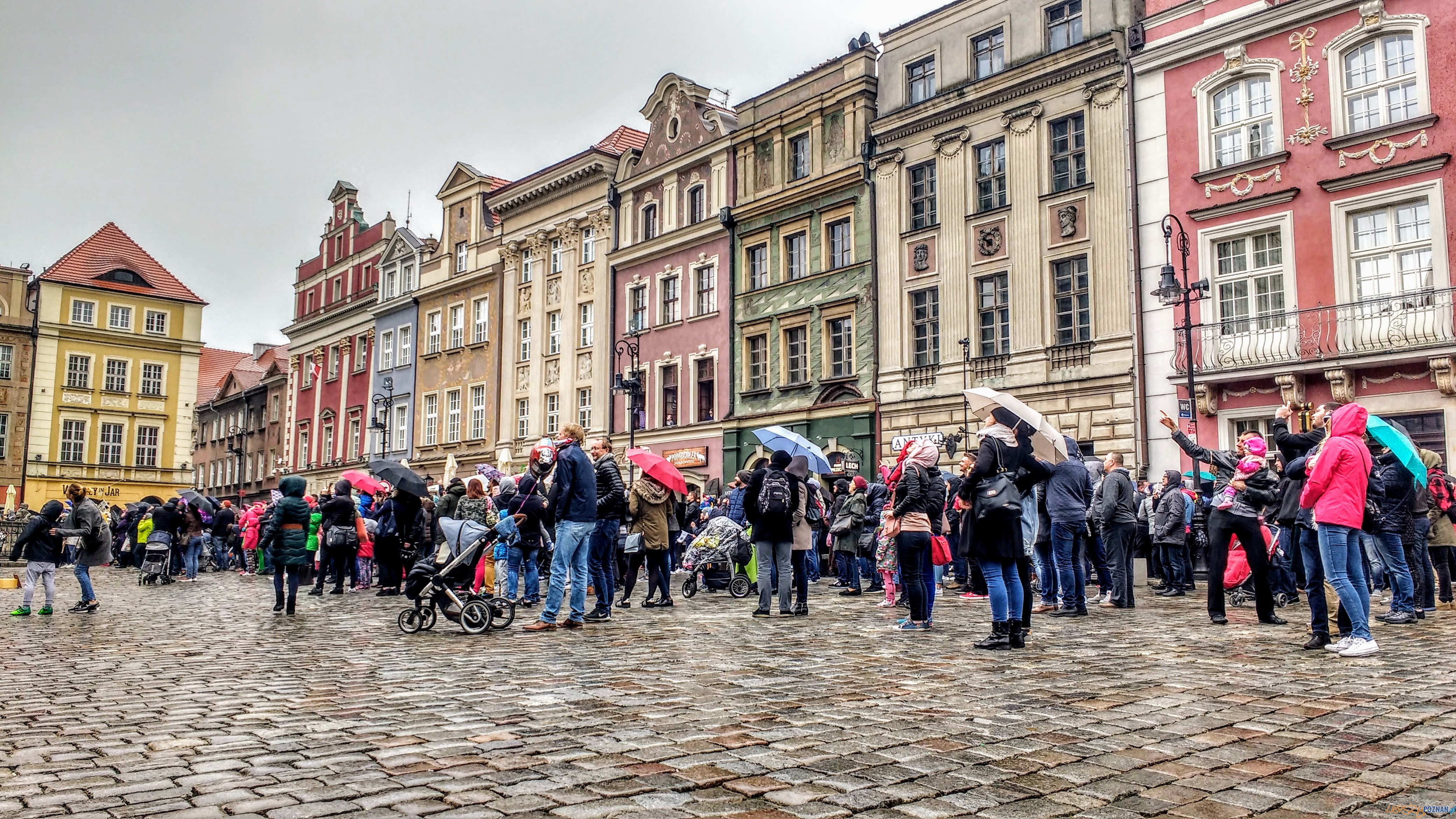 Udany jubileusz akcji Poznań za pół ceny - Stary Rynek Foto: PLOT / Wojciech Mania Udany jubileusz akcji Poznań za pół ceny - Stary Rynek Foto: PLOT / Wojciech Mania