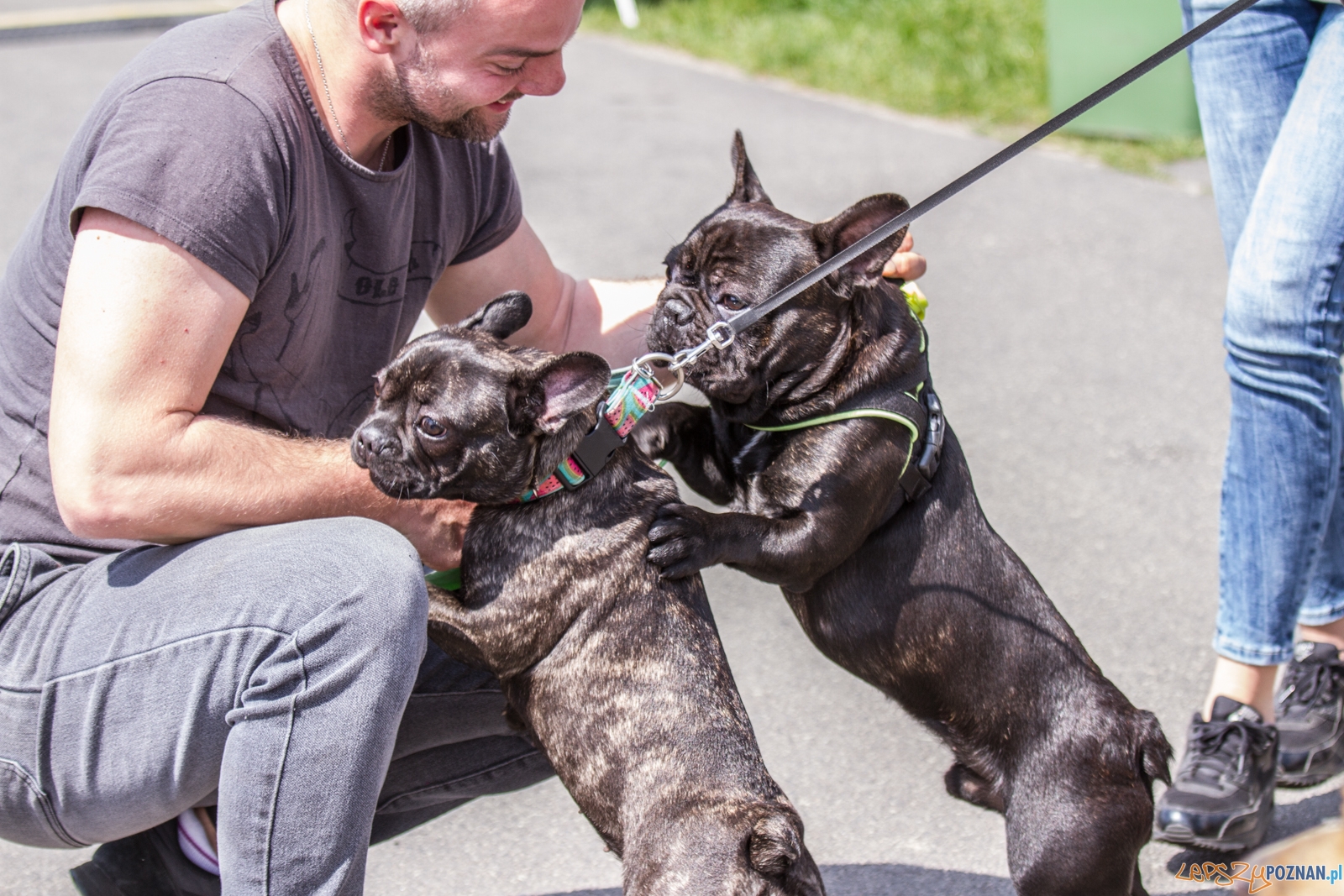 Latające psy (13.05.2017) Foto: © lepszyPOZNAN.pl / Karolina Kiraga Latające psy (13.05.2017) Foto: © lepszyPOZNAN.pl / Karolina Kiraga