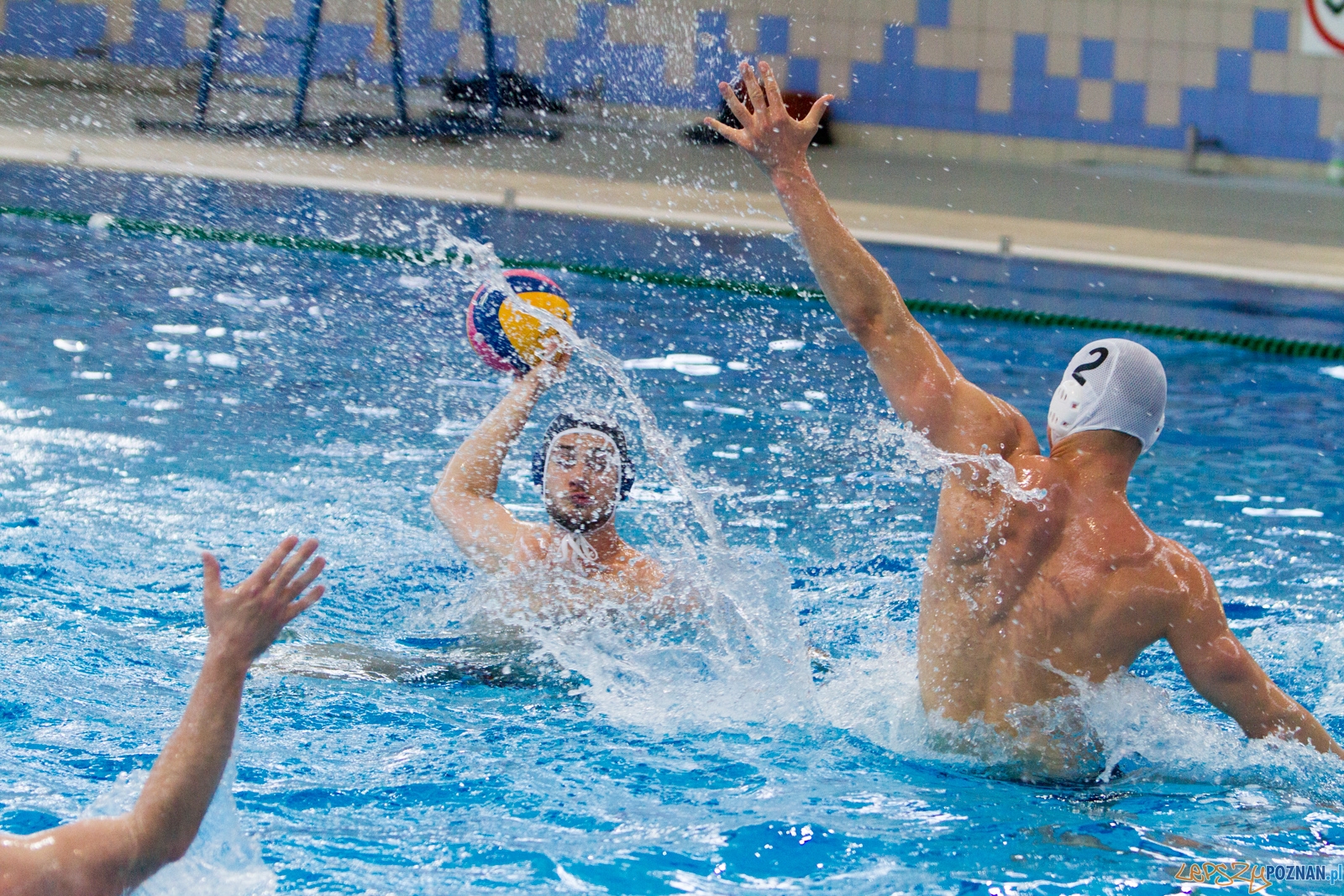 Waterpolo Poznań - ŁSTW UŁ Foto: lepszyPOZNAN.pl / Piotr Rychter Waterpolo Poznań - ŁSTW UŁ Foto: lepszyPOZNAN.pl / Piotr Rychter