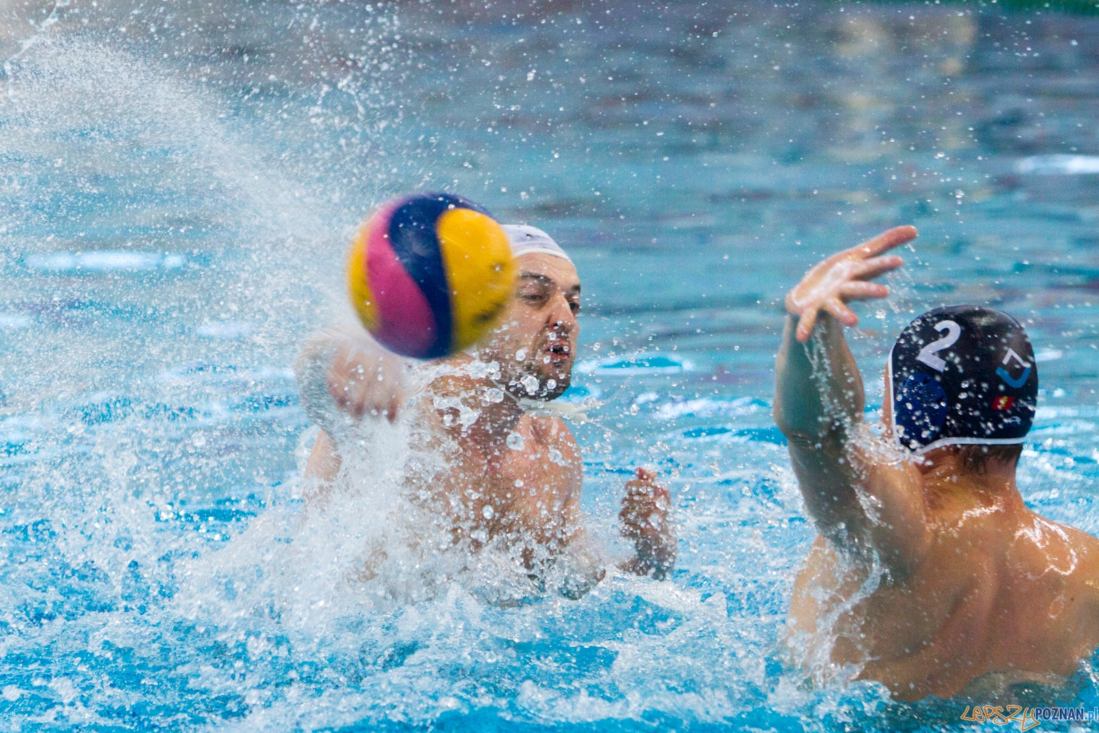 Waterpolo Poznań - ŁSTW UŁ Foto: lepszyPOZNAN.pl / Piotr Rychter Waterpolo Poznań - ŁSTW UŁ Foto: lepszyPOZNAN.pl / Piotr Rychter