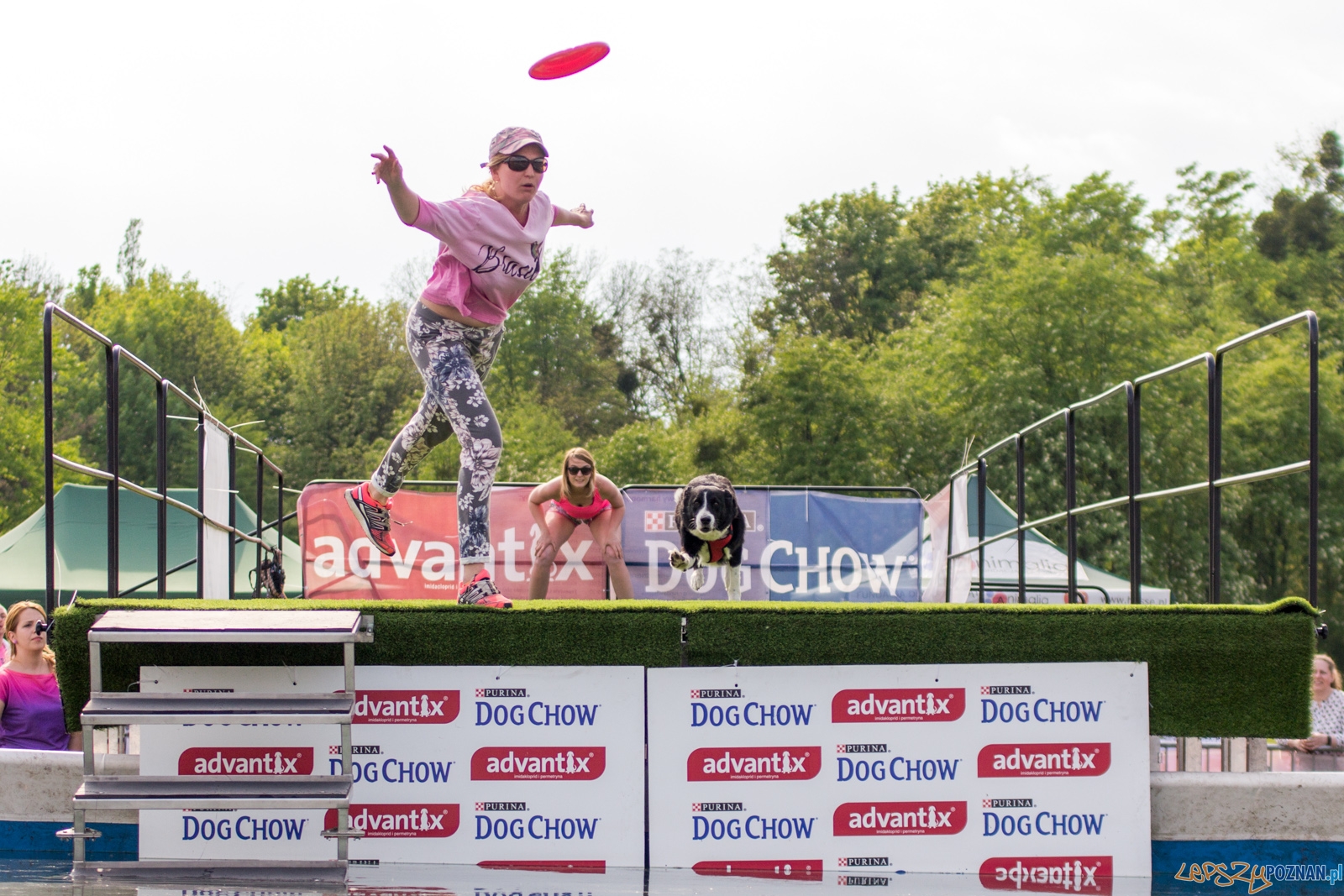 Latajace psy Foto: lepszyPOZNAN.pl / Ewelina Jaśkowiak Latajace psy Foto: lepszyPOZNAN.pl / Ewelina Jaśkowiak