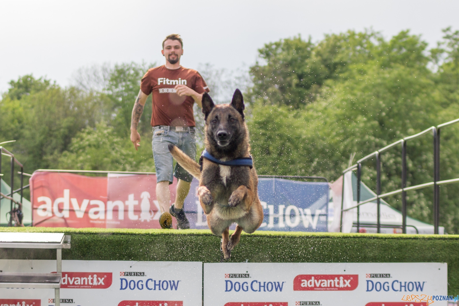 Latajace psy Foto: lepszyPOZNAN.pl / Ewelina Jaśkowiak Latajace psy Foto: lepszyPOZNAN.pl / Ewelina Jaśkowiak