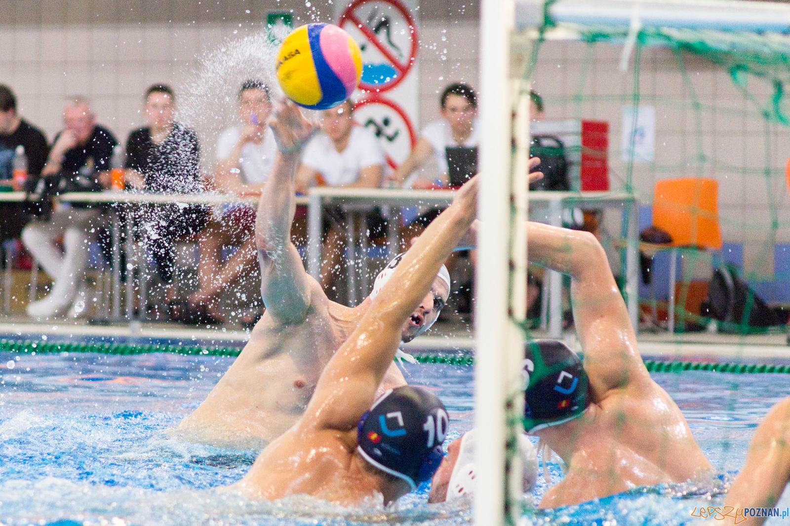 Waterpolo Poznań - ŁSTW UŁ Foto: lepszyPOZNAN.pl / Ewelina Jaskowiak Waterpolo Poznań - ŁSTW UŁ Foto: lepszyPOZNAN.pl / Ewelina Jaskowiak