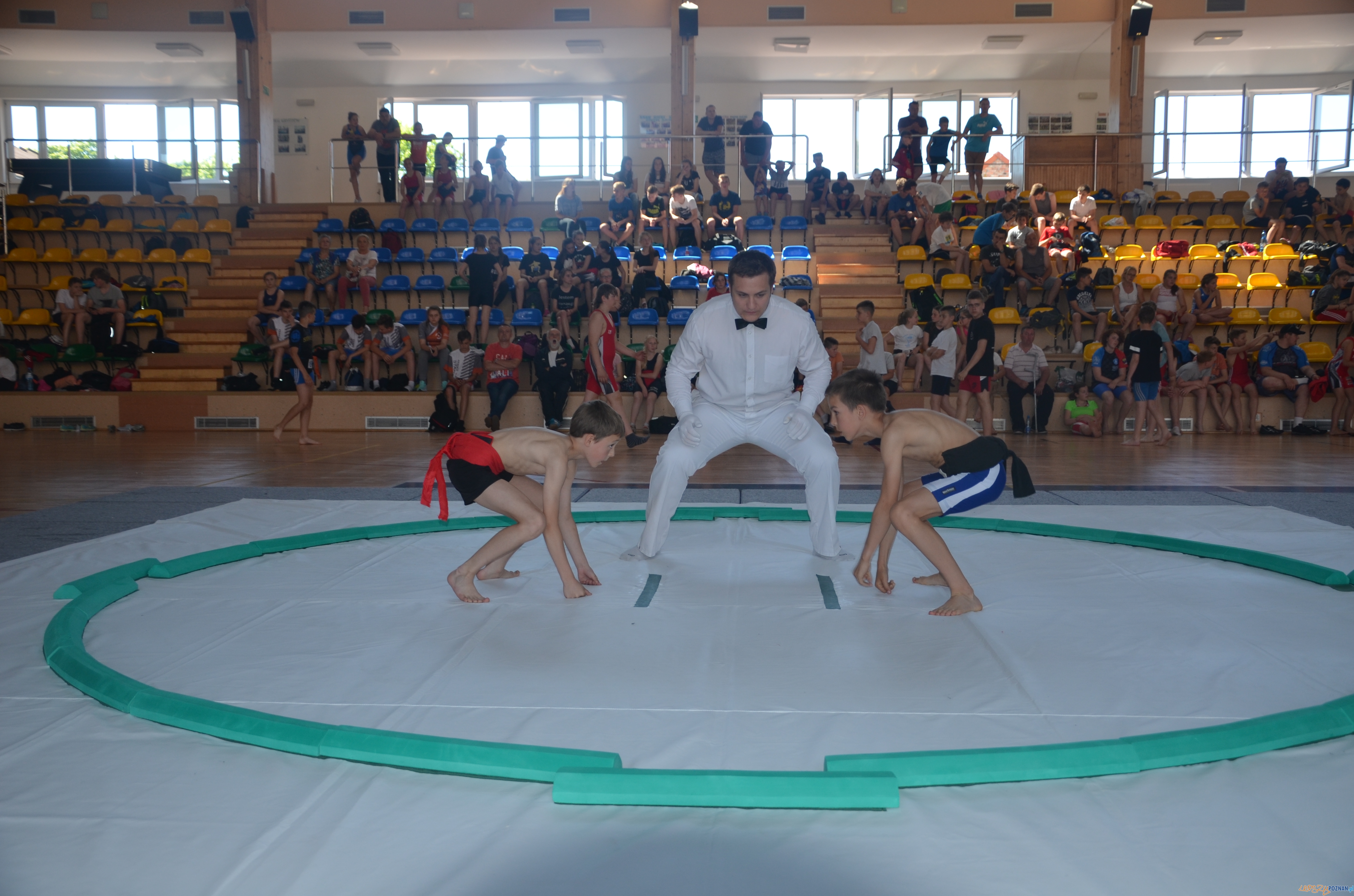 Międzywojewódzkie Mistrzostwa Młodzików w Sumo Perzyce Foto: KS Sobieski Międzywojewódzkie Mistrzostwa Młodzików w Sumo Perzyce Foto: KS Sobieski