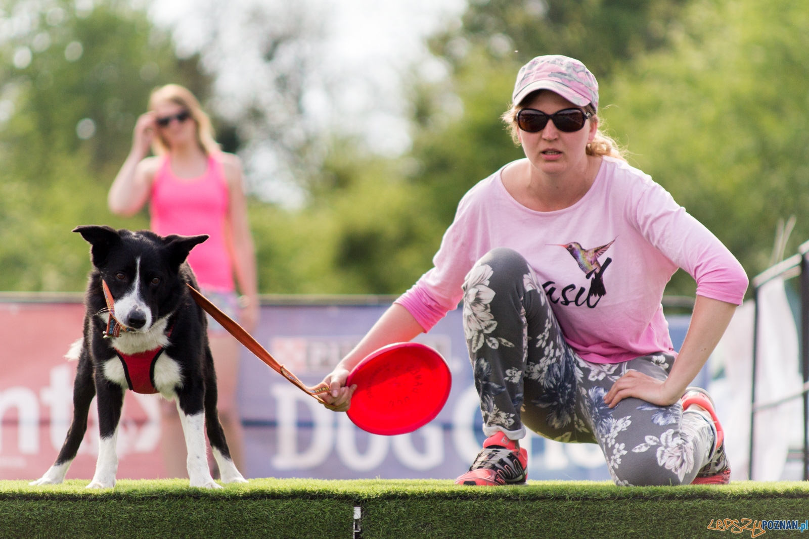 Latajace psy Foto: lepszyPOZNAN.pl / Ewelina Jaśkowiak Latajace psy Foto: lepszyPOZNAN.pl / Ewelina Jaśkowiak