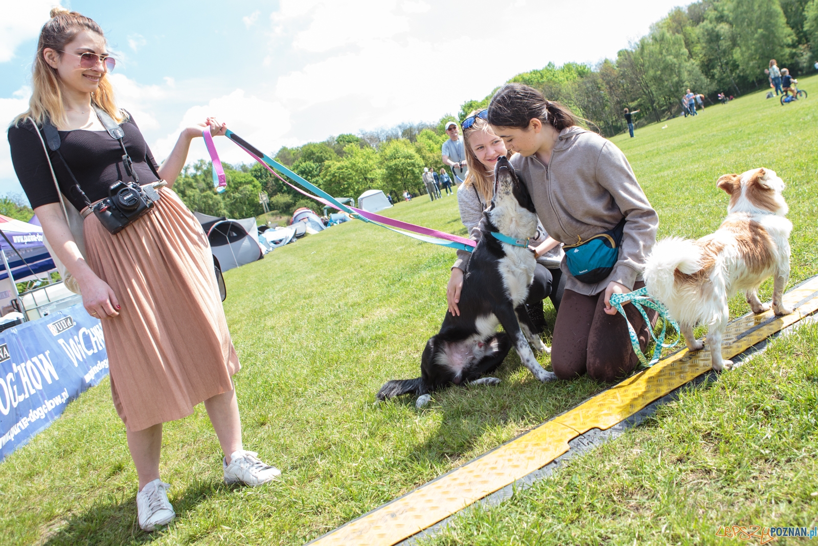 Latające Psy Poznań 2017 - Poznań 13.05.2017 r. Foto: LepszyPOZNAN.pl / Paweł Rychter Latające Psy Poznań 2017 - Poznań 13.05.2017 r. Foto: LepszyPOZNAN.pl / Paweł Rychter