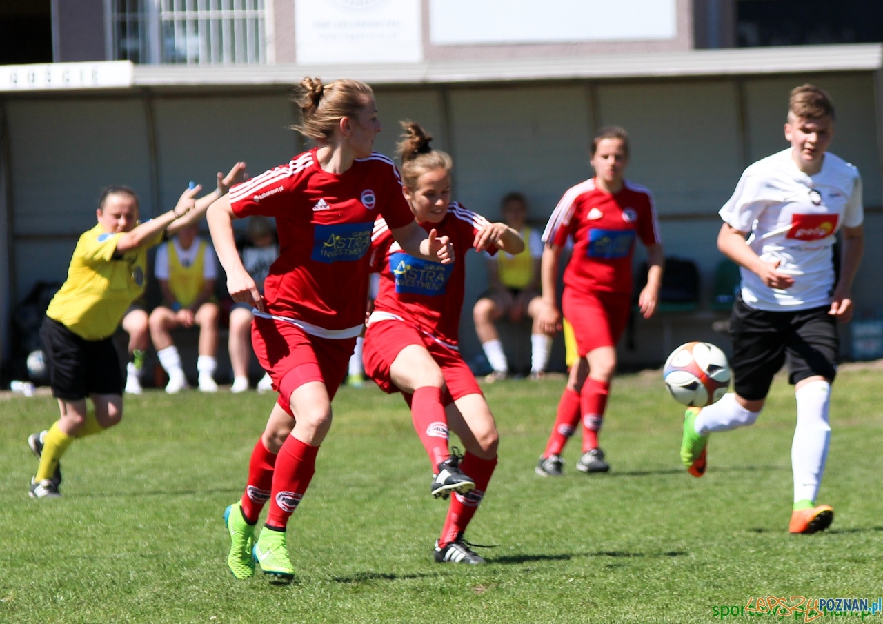 Polonia Poznań - Medyk II Konin Foto: sportowy-poznan.pl / Elżbieta Skowron Polonia Poznań - Medyk II Konin Foto: sportowy-poznan.pl / Elżbieta Skowron