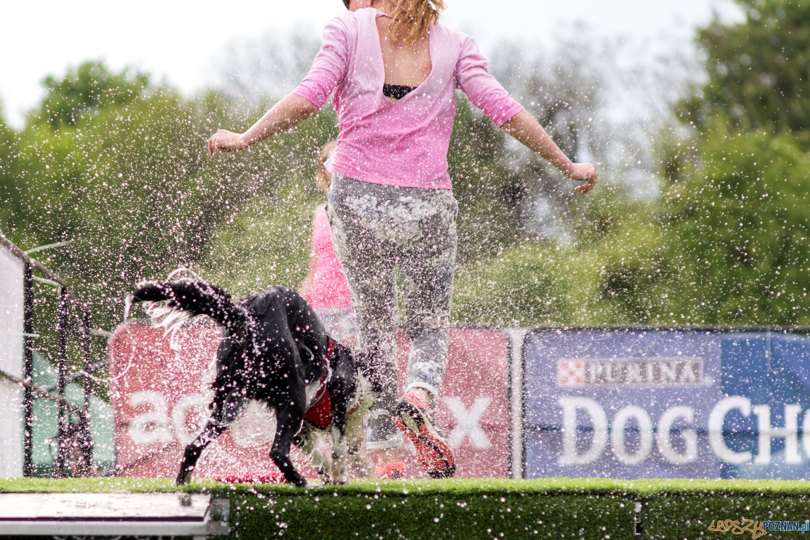 Latajace psy Foto: lepszyPOZNAN.pl / Ewelina Jaśkowiak Latajace psy Foto: lepszyPOZNAN.pl / Ewelina Jaśkowiak