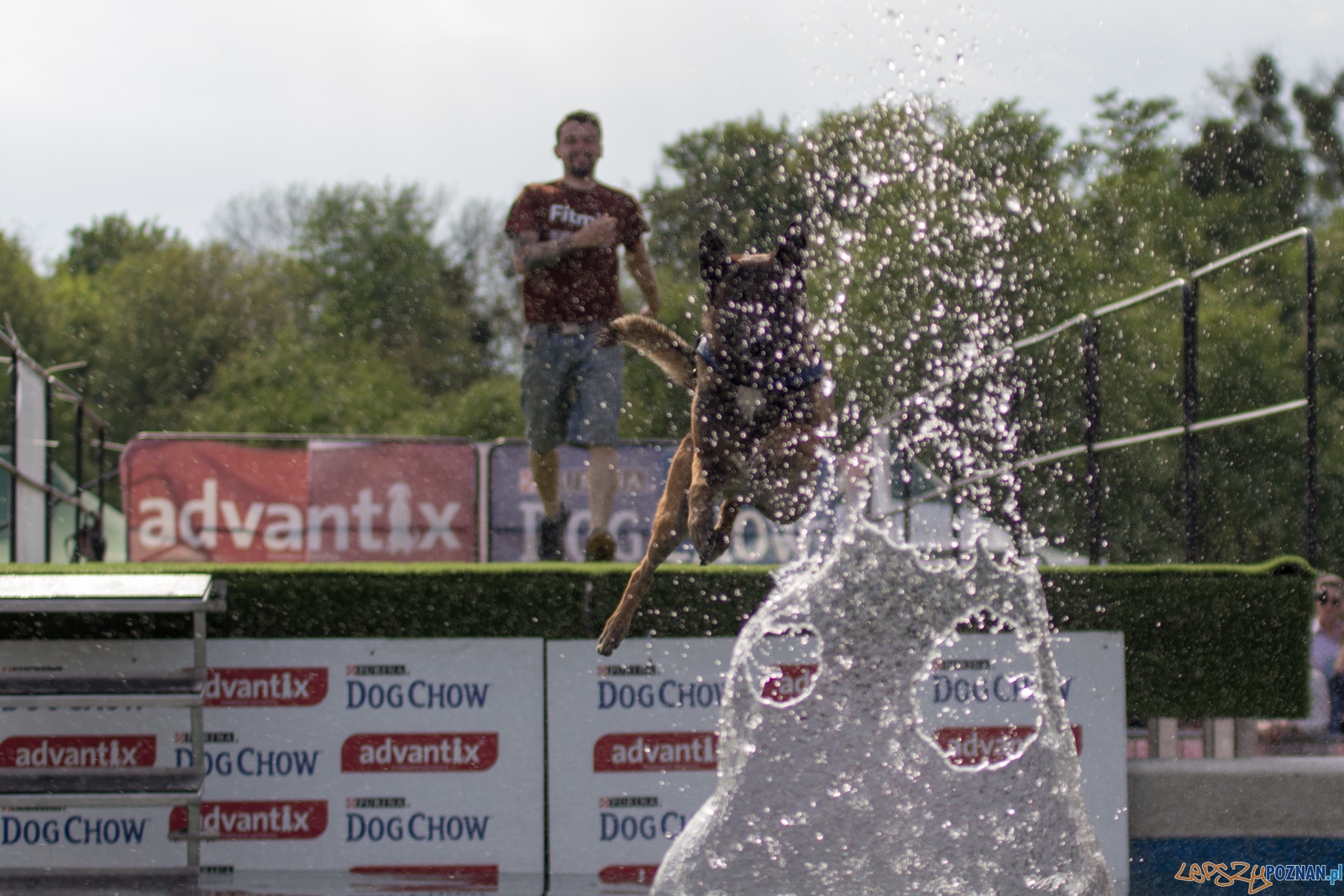 Latajace psy Foto: lepszyPOZNAN.pl / Ewelina Jaśkowiak Latajace psy Foto: lepszyPOZNAN.pl / Ewelina Jaśkowiak