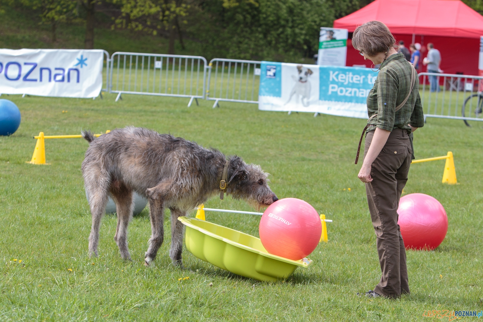 Latające Psy Poznań 2017 - Poznań 13.05.2017 r. Foto: LepszyPOZNAN.pl / Paweł Rychter Latające Psy Poznań 2017 - Poznań 13.05.2017 r. Foto: LepszyPOZNAN.pl / Paweł Rychter