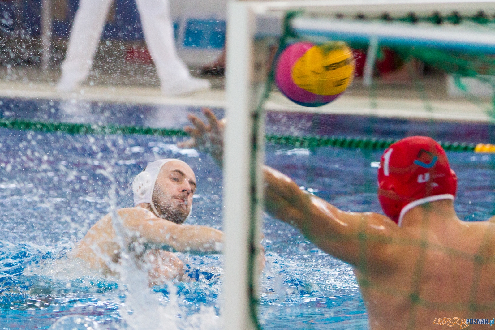Waterpolo Poznań - ŁSTW UŁ Foto: lepszyPOZNAN.pl / Piotr Rychter Waterpolo Poznań - ŁSTW UŁ Foto: lepszyPOZNAN.pl / Piotr Rychter