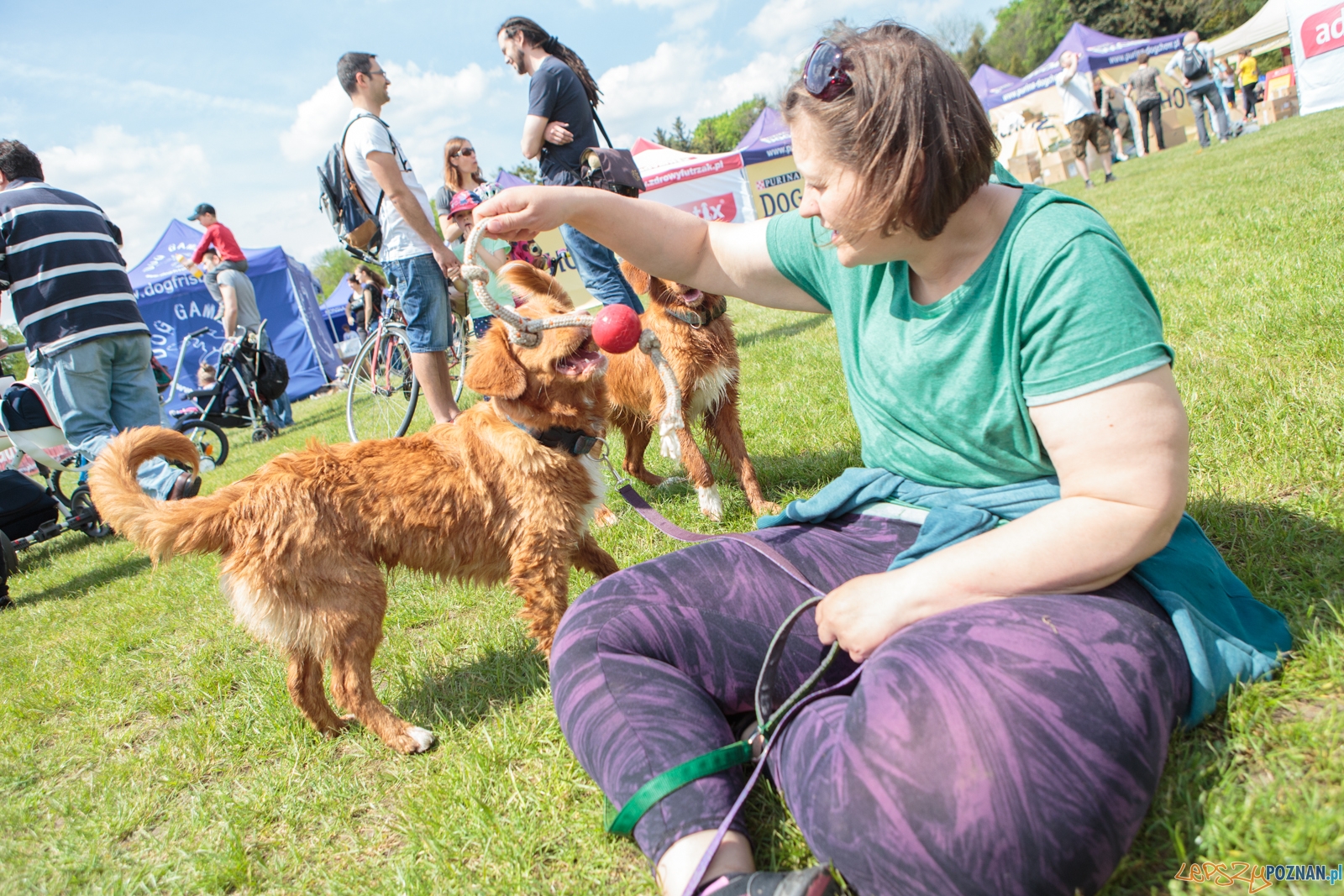 Latające Psy Poznań 2017 - Poznań 13.05.2017 r. Foto: LepszyPOZNAN.pl / Paweł Rychter Latające Psy Poznań 2017 - Poznań 13.05.2017 r. Foto: LepszyPOZNAN.pl / Paweł Rychter