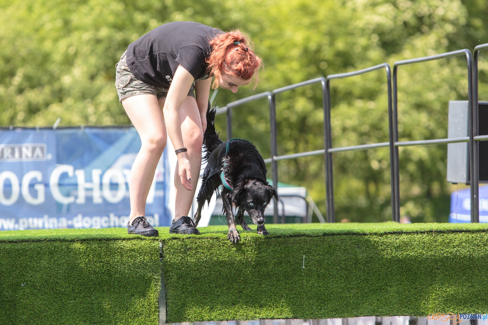 Latające Psy Poznań 2017 - Poznań 13.05.2017 r. Foto: LepszyPOZNAN.pl / Paweł Rychter Latające Psy Poznań 2017 - Poznań 13.05.2017 r. Foto: LepszyPOZNAN.pl / Paweł Rychter