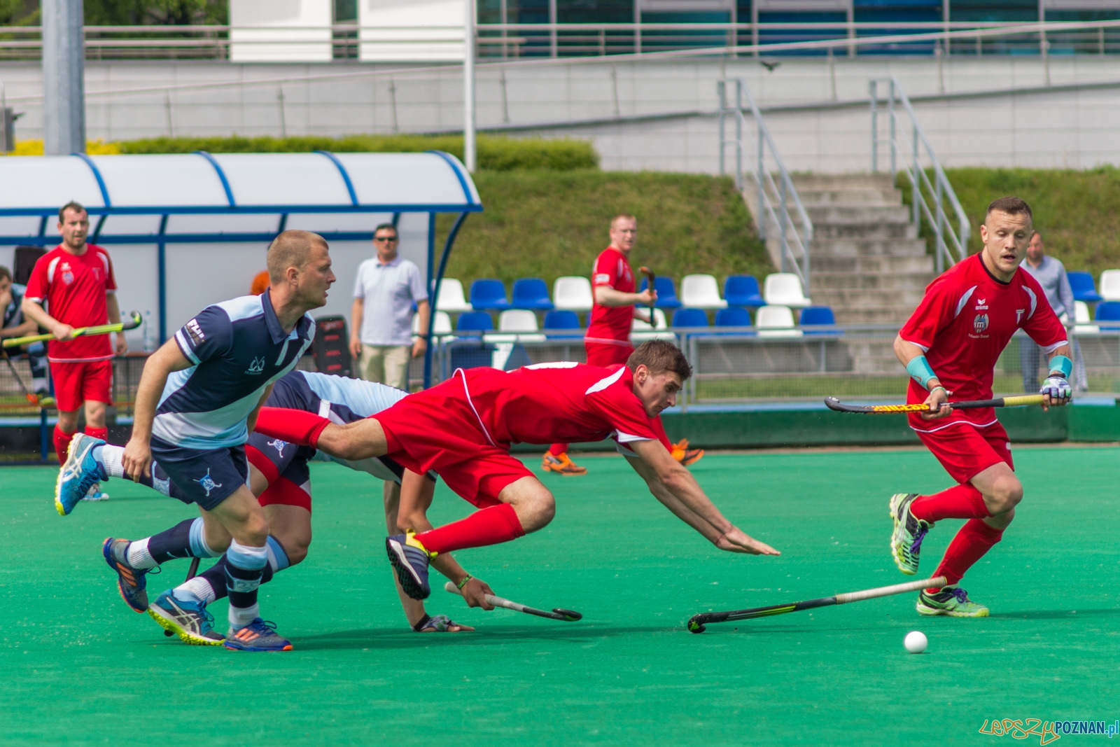 lp-8983 Foto: Ewelina Jaśkowiak lp-8983 Foto: Ewelina Jaśkowiak