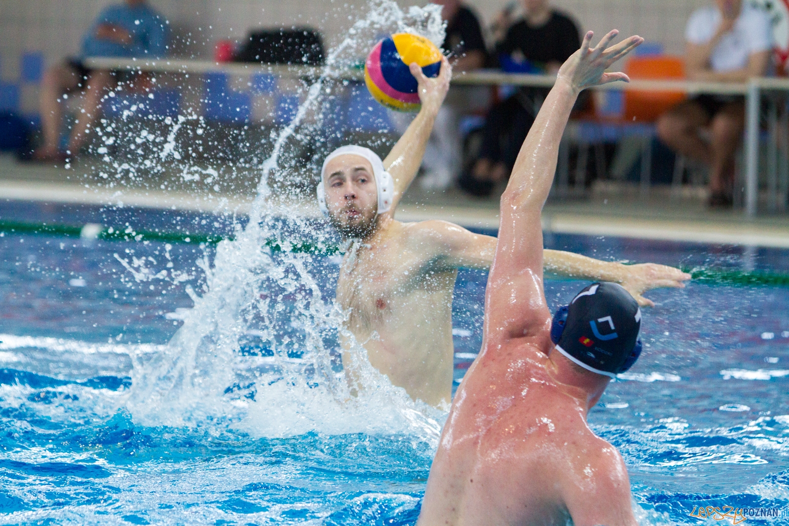 Waterpolo Poznań - ŁSTW UŁ Foto: lepszyPOZNAN.pl / Piotr Rychter Waterpolo Poznań - ŁSTW UŁ Foto: lepszyPOZNAN.pl / Piotr Rychter
