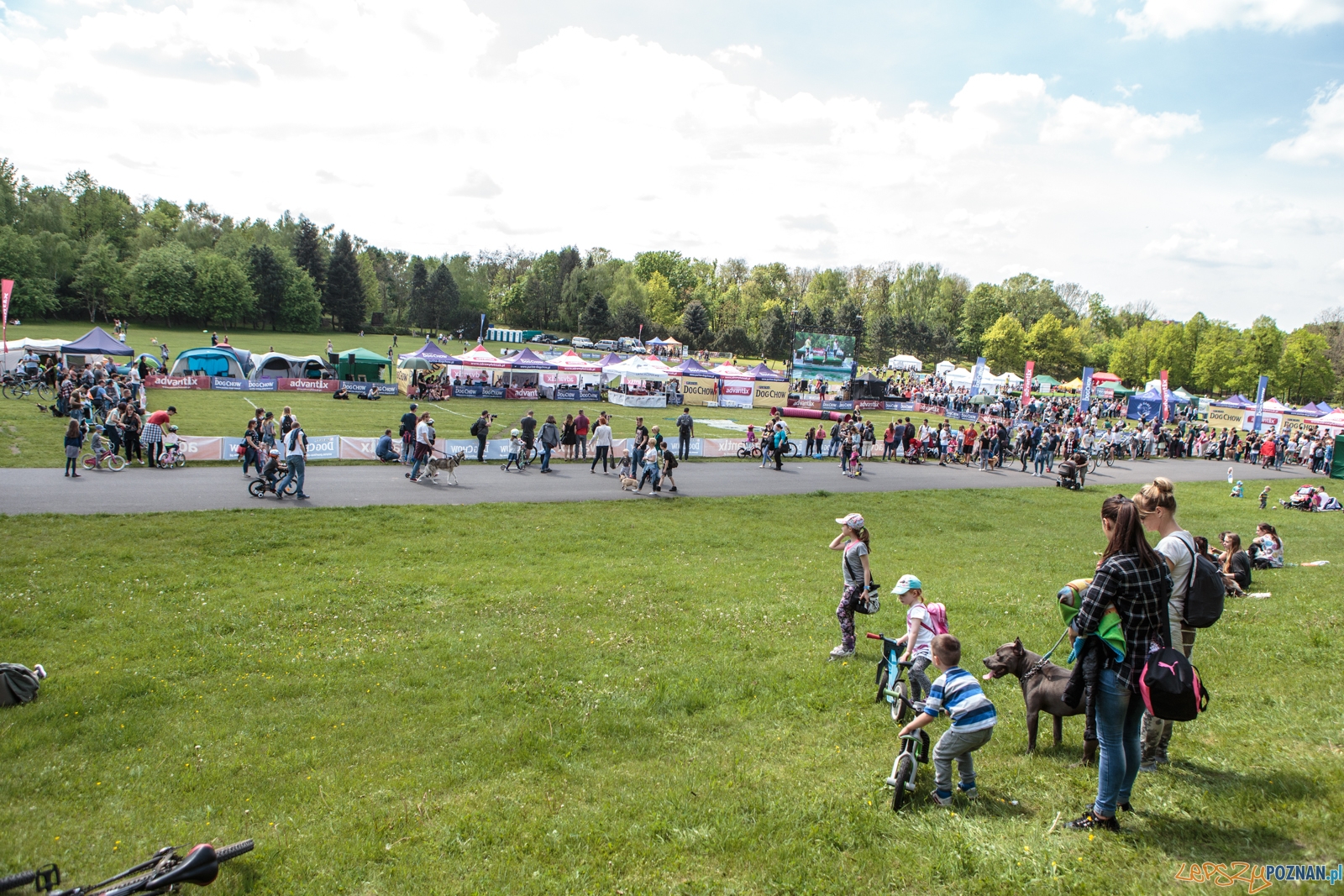 Latające Psy Poznań 2017 - Poznań 13.05.2017 r. Foto: LepszyPOZNAN.pl / Paweł Rychter Latające Psy Poznań 2017 - Poznań 13.05.2017 r. Foto: LepszyPOZNAN.pl / Paweł Rychter