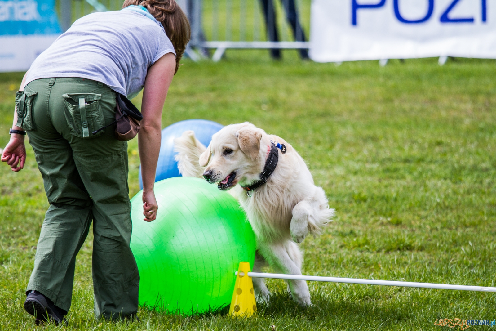 Latające psy (13.05.2017) Foto: © lepszyPOZNAN.pl / Karolina Kiraga Latające psy (13.05.2017) Foto: © lepszyPOZNAN.pl / Karolina Kiraga