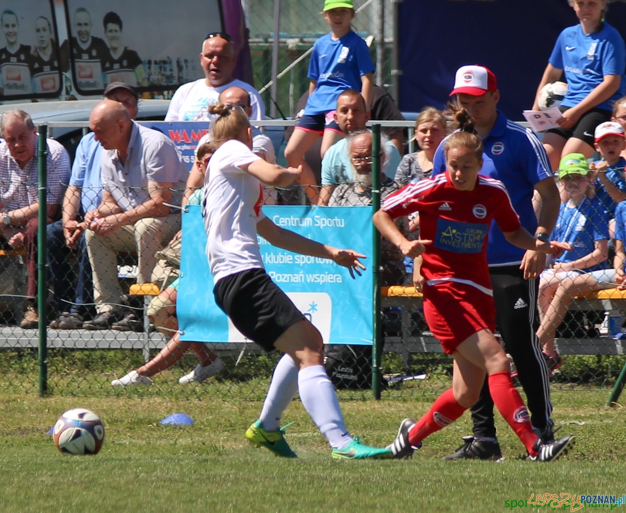 Polonia Poznań - Medyk II Konin Foto: sportowy-poznan.pl / Elżbieta Skowron Polonia Poznań - Medyk II Konin Foto: sportowy-poznan.pl / Elżbieta Skowron