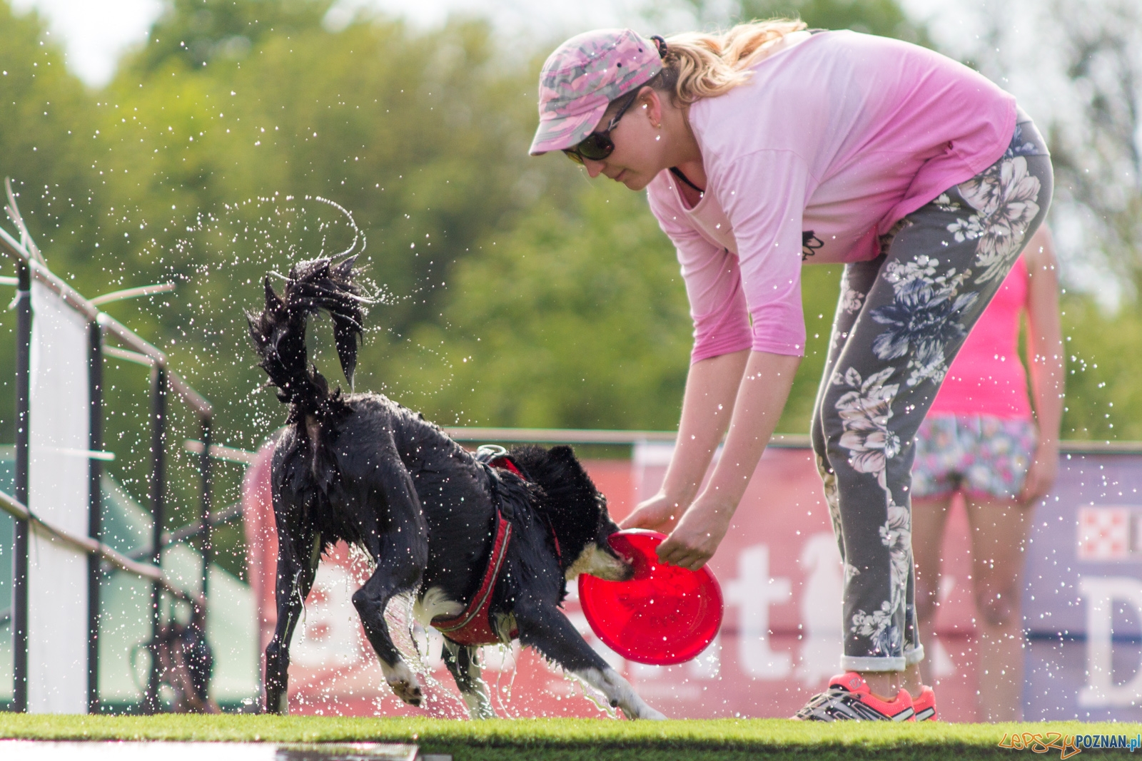 Latajace psy Foto: lepszyPOZNAN.pl / Ewelina Jaśkowiak Latajace psy Foto: lepszyPOZNAN.pl / Ewelina Jaśkowiak