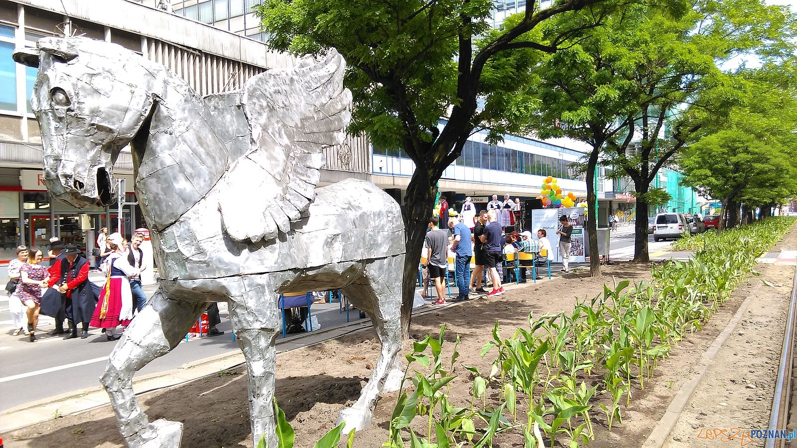 Dzień Sąsiada na Św. Marcinie (19) Foto: T. Dworek / ROSM Dzień Sąsiada na Św. Marcinie (19) Foto: T. Dworek / ROSM