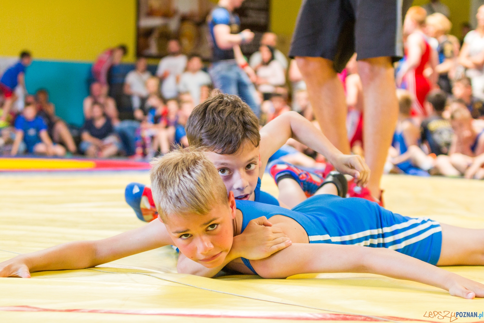 Zawody w Siłowaniu i Zapasach Memoriał Henryka Półtoraka Foto: lepszyPOZNAN.pl / Ewelina Jaśkowiak Zawody w Siłowaniu i Zapasach Memoriał Henryka Półtoraka Foto: lepszyPOZNAN.pl / Ewelina Jaśkowiak