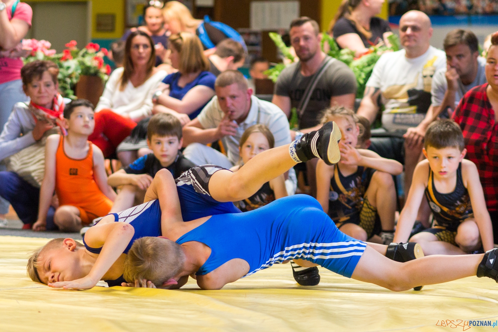 Zawody w Siłowaniu i Zapasach Memoriał Henryka Półtoraka Foto: lepszyPOZNAN.pl / Ewelina Jaśkowiak Zawody w Siłowaniu i Zapasach Memoriał Henryka Półtoraka Foto: lepszyPOZNAN.pl / Ewelina Jaśkowiak