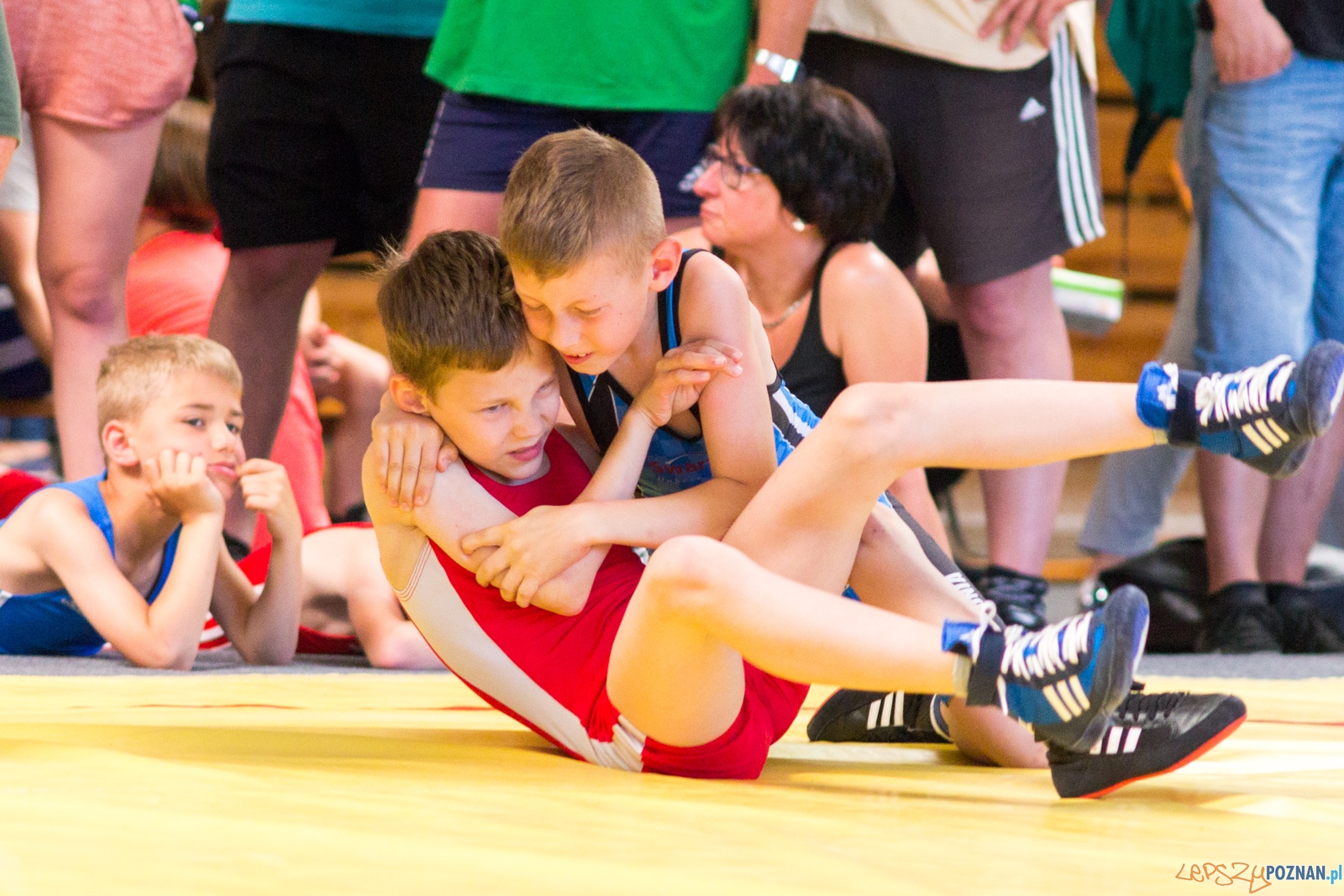 Zawody w Siłowaniu i Zapasach Memoriał Henryka Półtoraka Foto: lepszyPOZNAN.pl / Ewelina Jaśkowiak Zawody w Siłowaniu i Zapasach Memoriał Henryka Półtoraka Foto: lepszyPOZNAN.pl / Ewelina Jaśkowiak