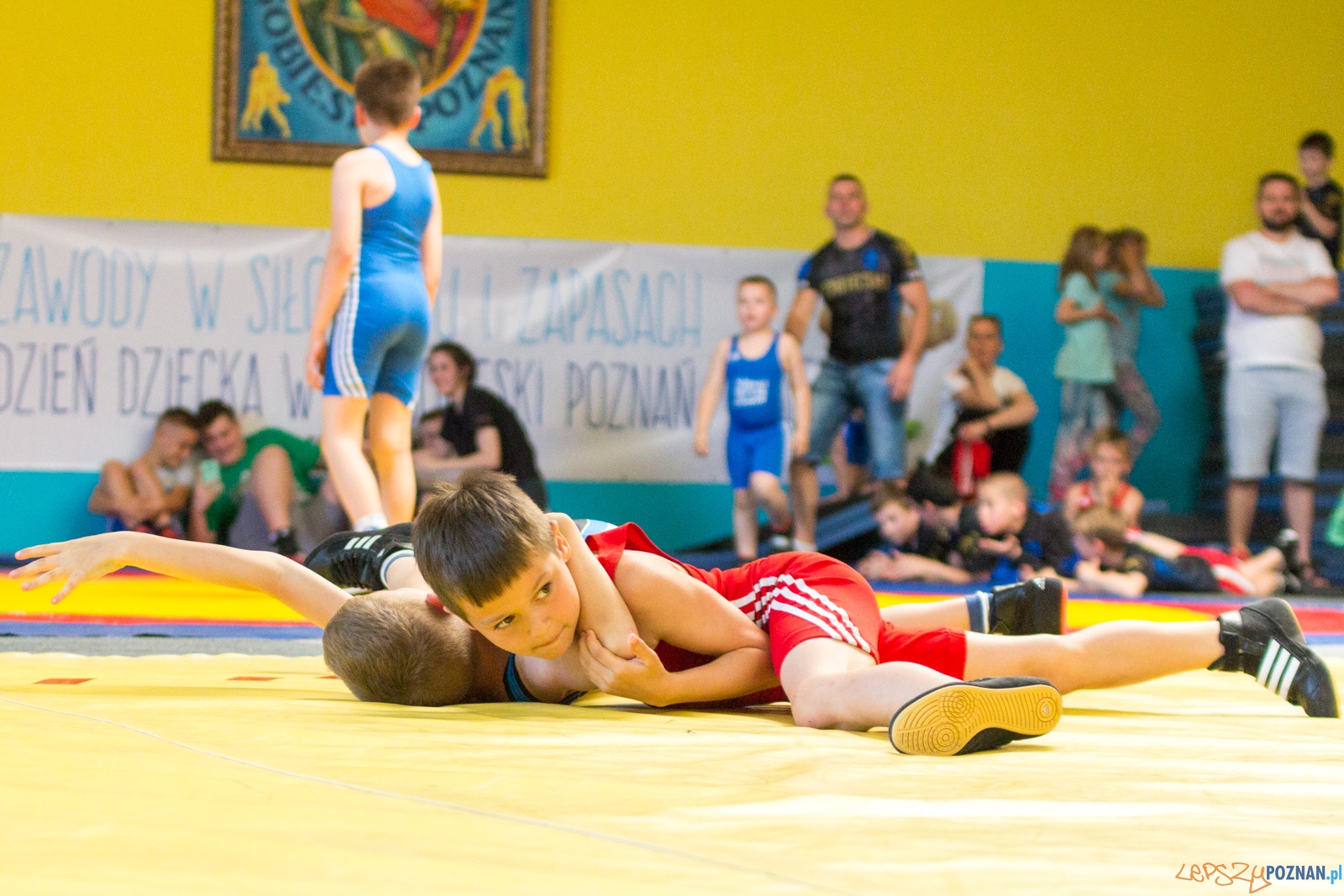 Zawody w Siłowaniu i Zapasach Memoriał Henryka Półtoraka Foto: lepszyPOZNAN.pl / Ewelina Jaśkowiak Zawody w Siłowaniu i Zapasach Memoriał Henryka Półtoraka Foto: lepszyPOZNAN.pl / Ewelina Jaśkowiak