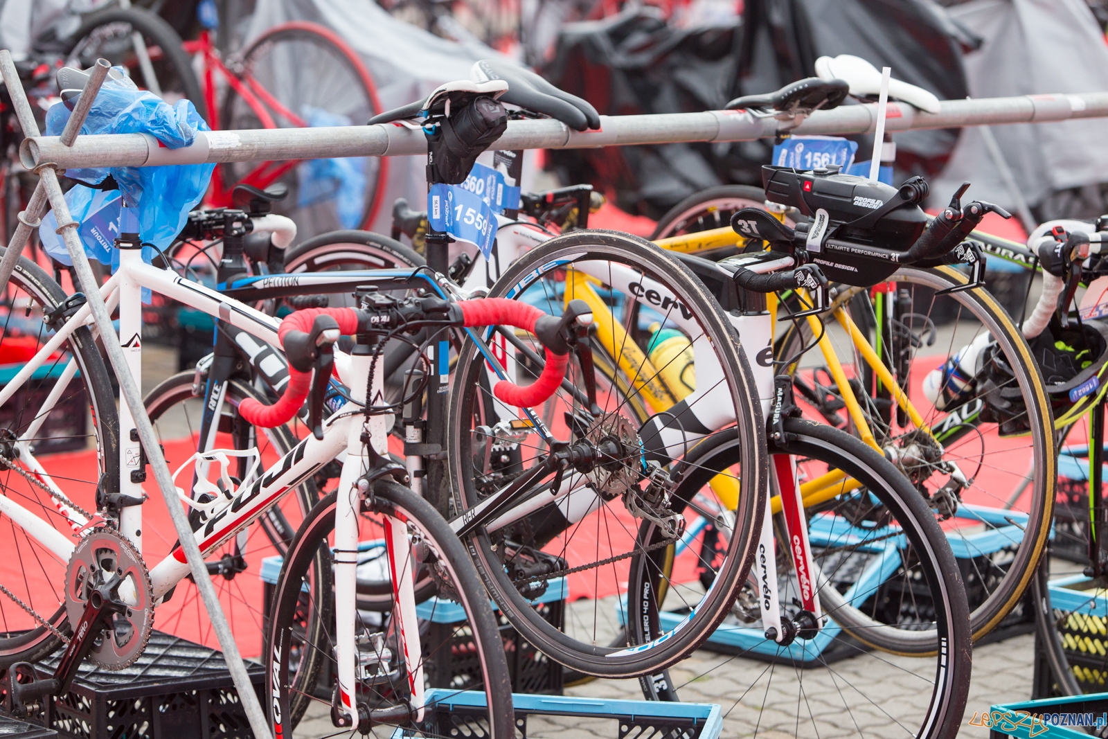 triat-24_06_2017_triathlon-IMG_8744 Foto: lepszyPOZNAN.pl/Piotr Rychter triat-24_06_2017_triathlon-IMG_8744 Foto: lepszyPOZNAN.pl/Piotr Rychter