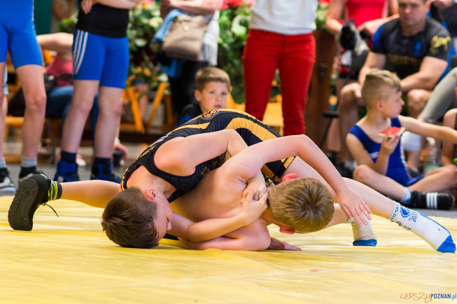 Zawody w Siłowaniu i Zapasach Memoriał Henryka Półtoraka Foto: lepszyPOZNAN.pl / Ewelina Jaśkowiak Zawody w Siłowaniu i Zapasach Memoriał Henryka Półtoraka Foto: lepszyPOZNAN.pl / Ewelina Jaśkowiak