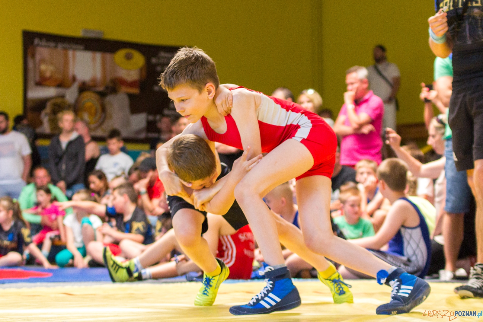 Zawody w Siłowaniu i Zapasach Memoriał Henryka Półtoraka Foto: lepszyPOZNAN.pl / Ewelina Jaśkowiak Zawody w Siłowaniu i Zapasach Memoriał Henryka Półtoraka Foto: lepszyPOZNAN.pl / Ewelina Jaśkowiak