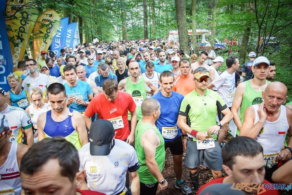 Pogoń za wilkiem Foto: facebook.com/PogonZaWilkiem Pogoń za wilkiem Foto: facebook.com/PogonZaWilkiem