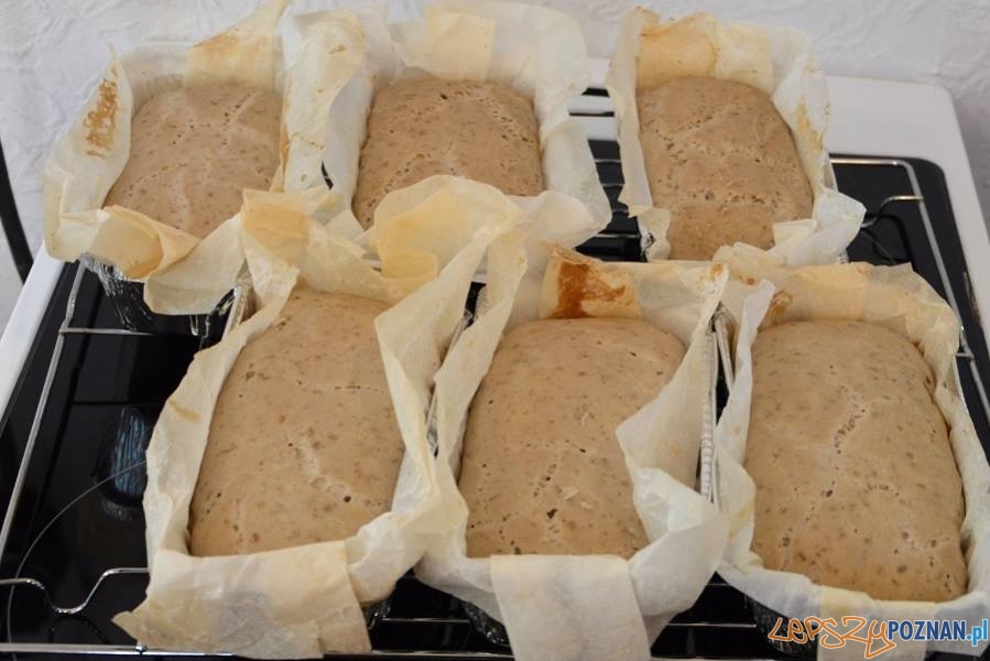 Muzeum Rolnictwa w Szreniawie - festyn (4) Foto: Muzeum w Szreniawie / facebook Muzeum Rolnictwa w Szreniawie - festyn (4) Foto: Muzeum w Szreniawie / facebook