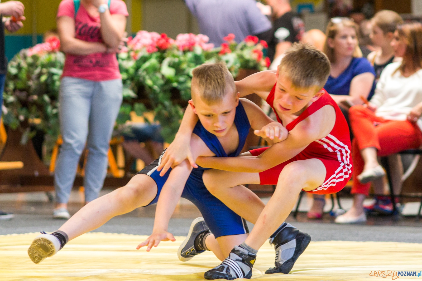 Zawody w Siłowaniu i Zapasach Memoriał Henryka Półtoraka Foto: lepszyPOZNAN.pl / Ewelina Jaśkowiak Zawody w Siłowaniu i Zapasach Memoriał Henryka Półtoraka Foto: lepszyPOZNAN.pl / Ewelina Jaśkowiak
