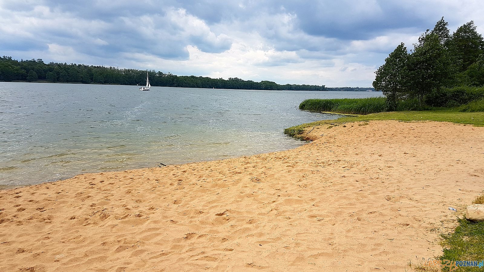 Krzyżowniki Foto: POSiR Krzyżowniki Foto: POSiR