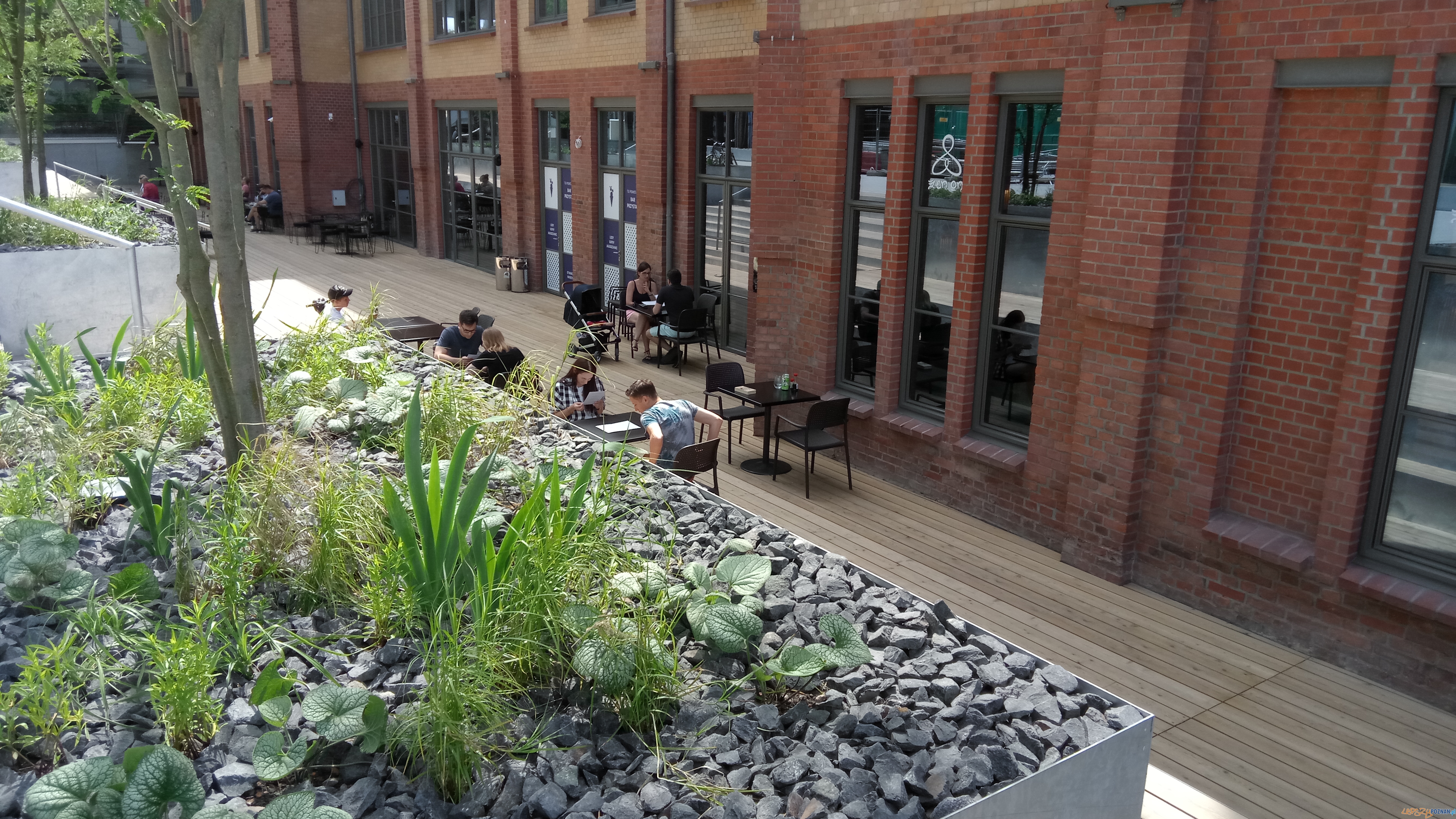 Zen On Foto: lepszyPOZNAN.pl / Piotr Rychter Zen On Foto: lepszyPOZNAN.pl / Piotr Rychter