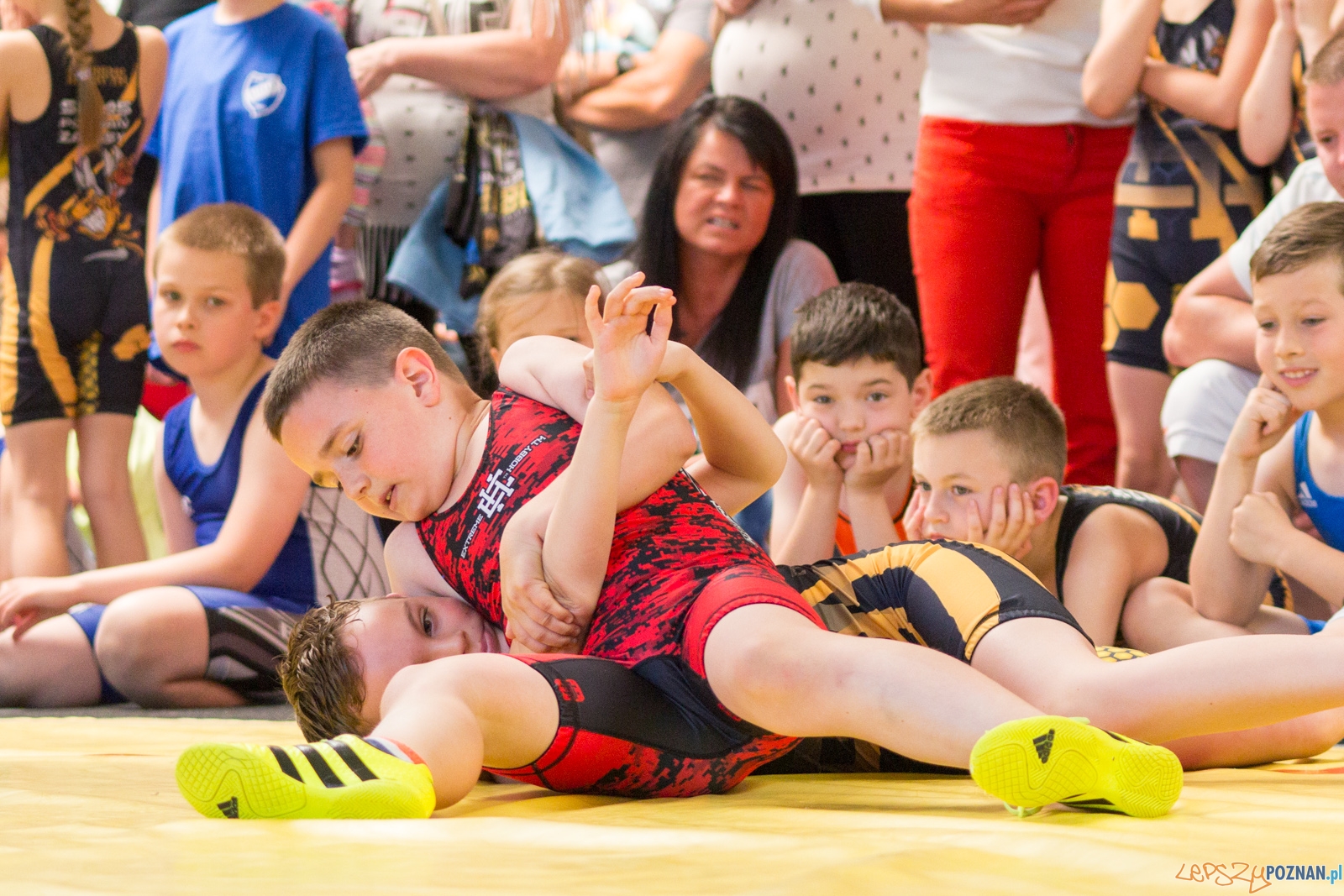 Zawody w Siłowaniu i Zapasach Memoriał Henryka Półtoraka Foto: lepszyPOZNAN.pl / Ewelina Jaśkowiak Zawody w Siłowaniu i Zapasach Memoriał Henryka Półtoraka Foto: lepszyPOZNAN.pl / Ewelina Jaśkowiak
