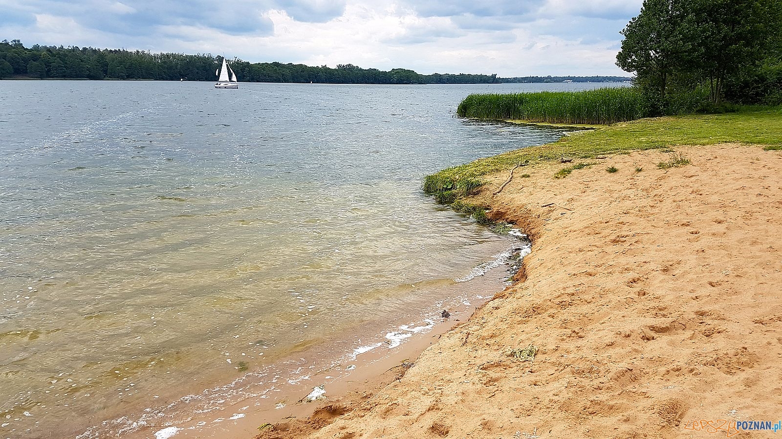 Krzyżowniki Foto: POSiR Krzyżowniki Foto: POSiR