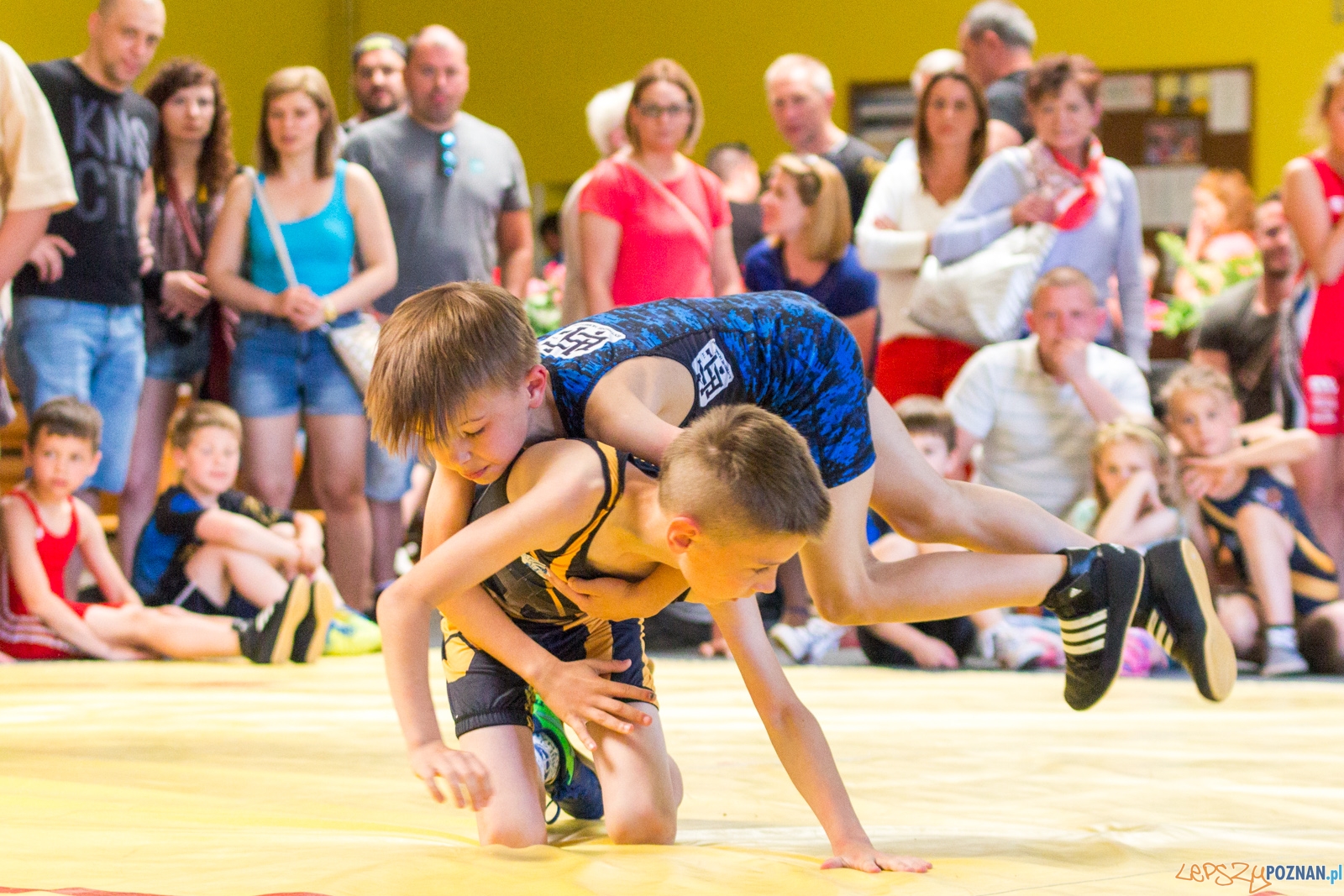 Zawody w Siłowaniu i Zapasach Memoriał Henryka Półtoraka Foto: lepszyPOZNAN.pl / Ewelina Jaśkowiak Zawody w Siłowaniu i Zapasach Memoriał Henryka Półtoraka Foto: lepszyPOZNAN.pl / Ewelina Jaśkowiak