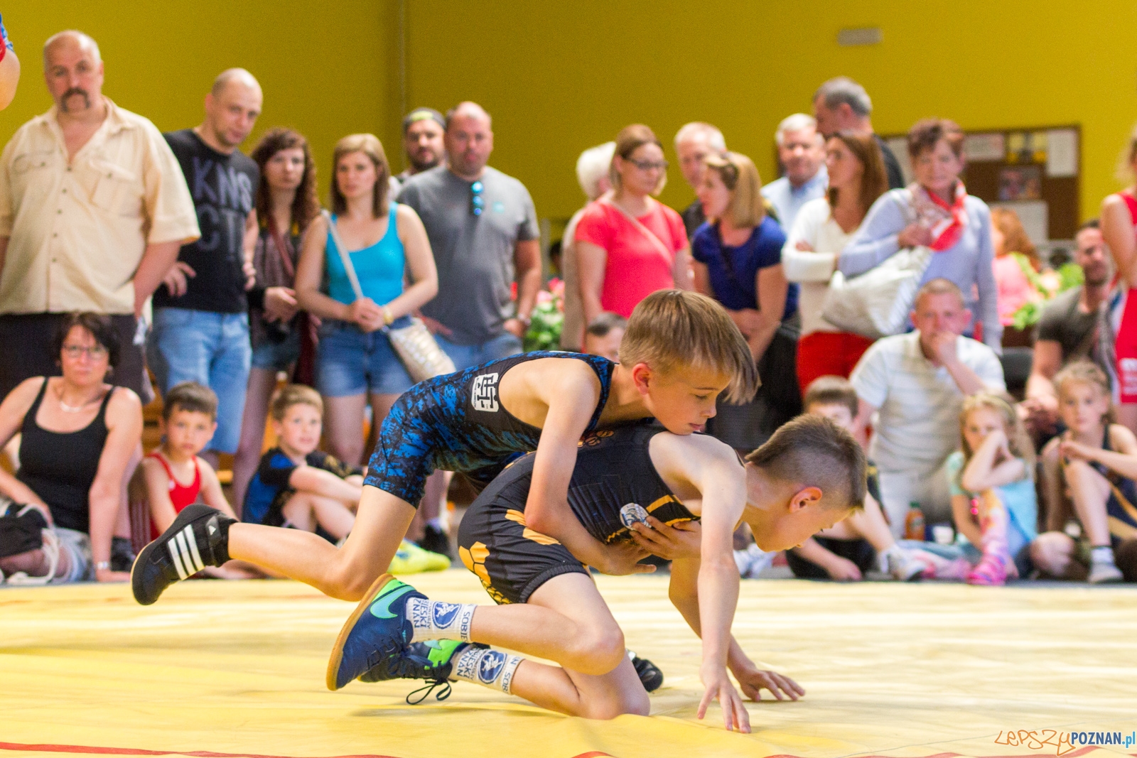 Zawody w Siłowaniu i Zapasach Memoriał Henryka Półtoraka Foto: lepszyPOZNAN.pl / Ewelina Jaśkowiak Zawody w Siłowaniu i Zapasach Memoriał Henryka Półtoraka Foto: lepszyPOZNAN.pl / Ewelina Jaśkowiak
