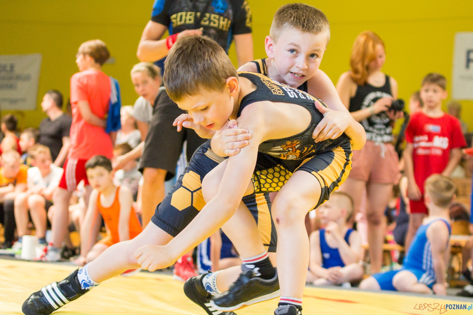 Zawody w Siłowaniu i Zapasach Memoriał Henryka Półtoraka Foto: lepszyPOZNAN.pl / Ewelina Jaśkowiak Zawody w Siłowaniu i Zapasach Memoriał Henryka Półtoraka Foto: lepszyPOZNAN.pl / Ewelina Jaśkowiak