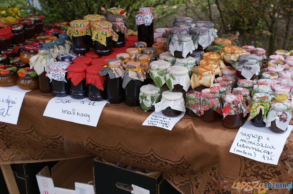 Muzeum Rolnictwa w Szreniawie - festyn (2) Foto: Muzeum w Szreniawie / facebook Muzeum Rolnictwa w Szreniawie - festyn (2) Foto: Muzeum w Szreniawie / facebook