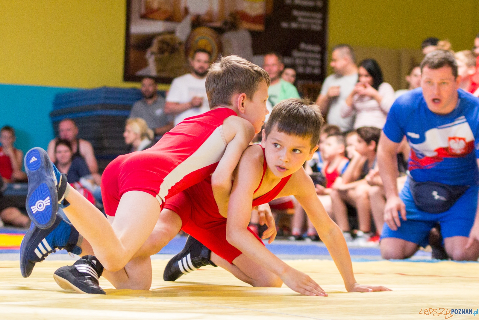 Zawody w Siłowaniu i Zapasach Memoriał Henryka Półtoraka Foto: lepszyPOZNAN.pl / Ewelina Jaśkowiak Zawody w Siłowaniu i Zapasach Memoriał Henryka Półtoraka Foto: lepszyPOZNAN.pl / Ewelina Jaśkowiak
