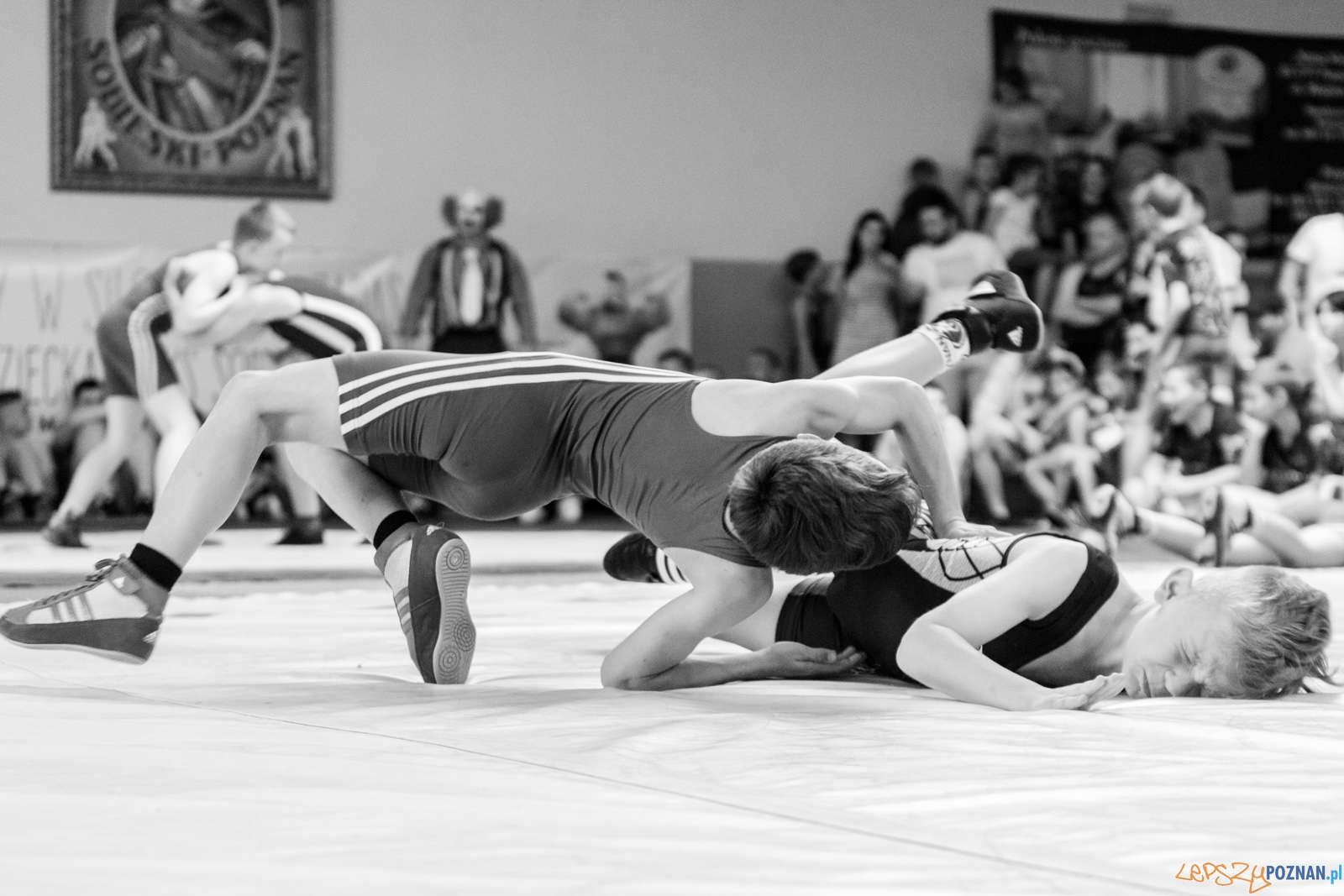 Zawody w Siłowaniu i Zapasach Memoriał Henryka Półtoraka Foto: lepszyPOZNAN.pl / Ewelina Jaśkowiak Zawody w Siłowaniu i Zapasach Memoriał Henryka Półtoraka Foto: lepszyPOZNAN.pl / Ewelina Jaśkowiak