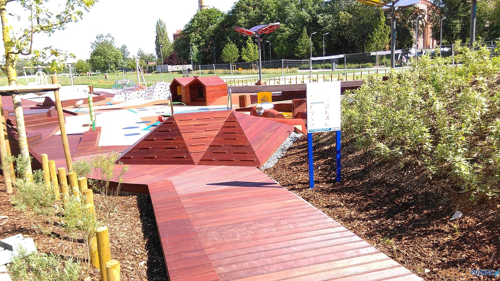 Wartofrajda - Park Stare Koryto Warty (4) Foto: Tomasz Dworek / ROSM Wartofrajda - Park Stare Koryto Warty (4) Foto: Tomasz Dworek / ROSM